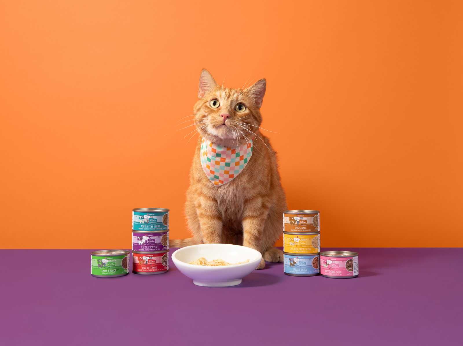 Cats in the Kitchen: For Your Kitchen Carnivore