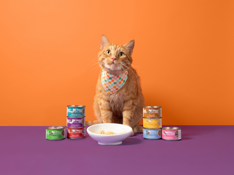 Cats in the Kitchen: For Your Kitchen Carnivore