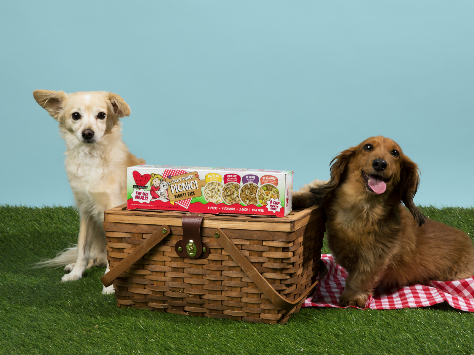 How to Travel With Dogs: 10 Mealtime Tips That Make It Easy