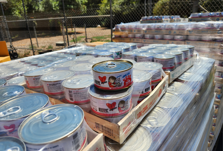 Weruva Donates Over 22,000 Meals to The Cat House on the Kings Sanctuary
