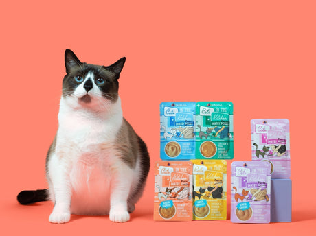 Cats in the Kitchen Pantry Pours: Lickable Bisque Cat Treats