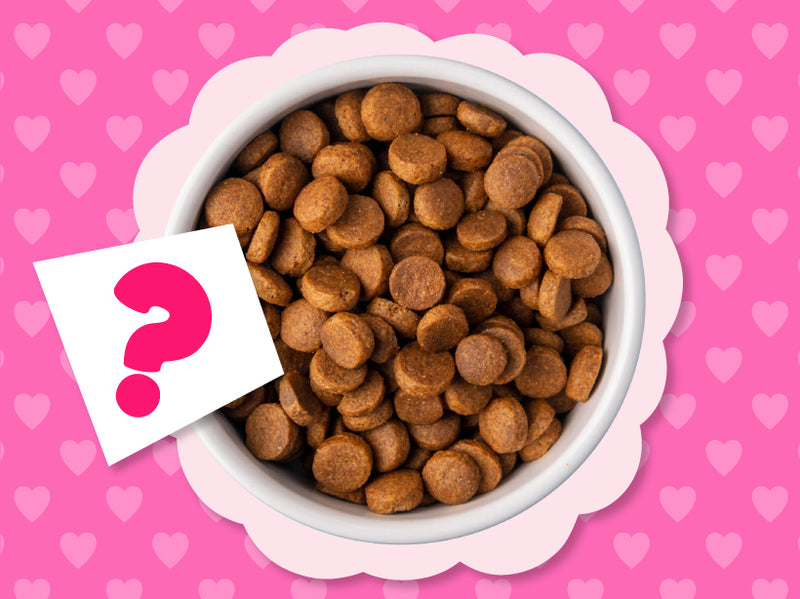 Can Kibble Clean Teeth? The Truth Revealed – Weruva