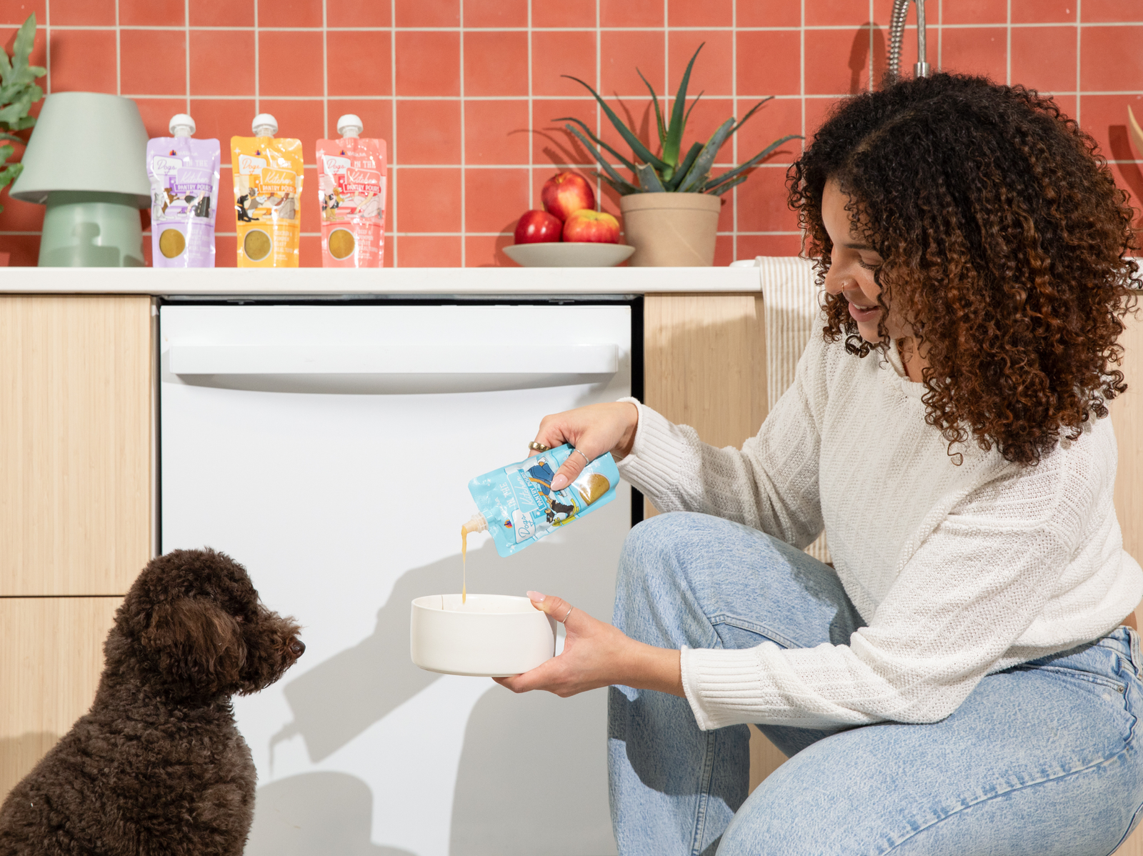 Dogs in the Kitchen Pantry Pours: Gravy Meal Toppers for Dogs