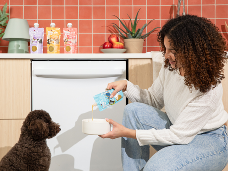Dogs in the Kitchen Pantry Pours: Gravy Meal Toppers for Dogs