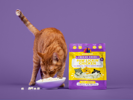 The Best Freeze Dried Cat Foods of 2026