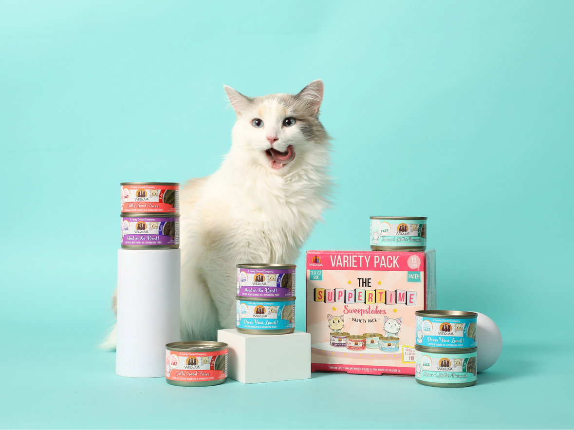 Hydrating Purées: The Paté That Powers Pet Hydration