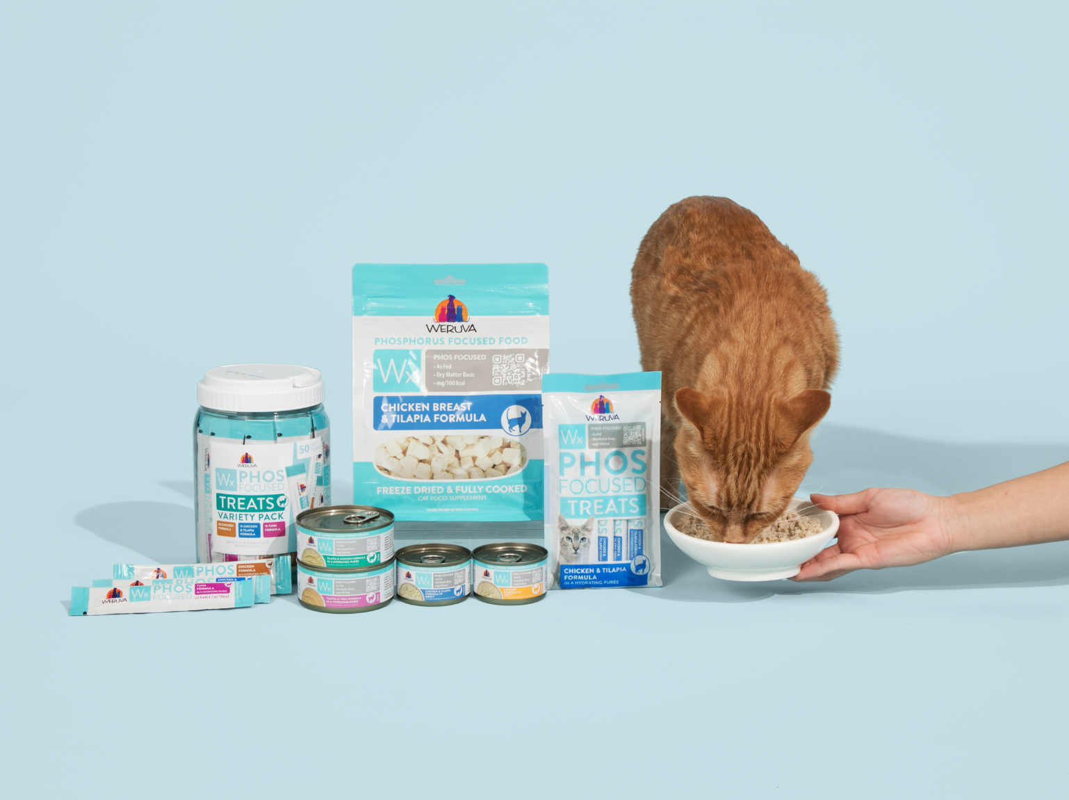 Best Non-Prescription Low Phosphorus Cat Foods [2026]