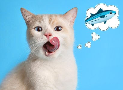 Is Tuna Bad for Cats? The Truth About Tuna Cat Food