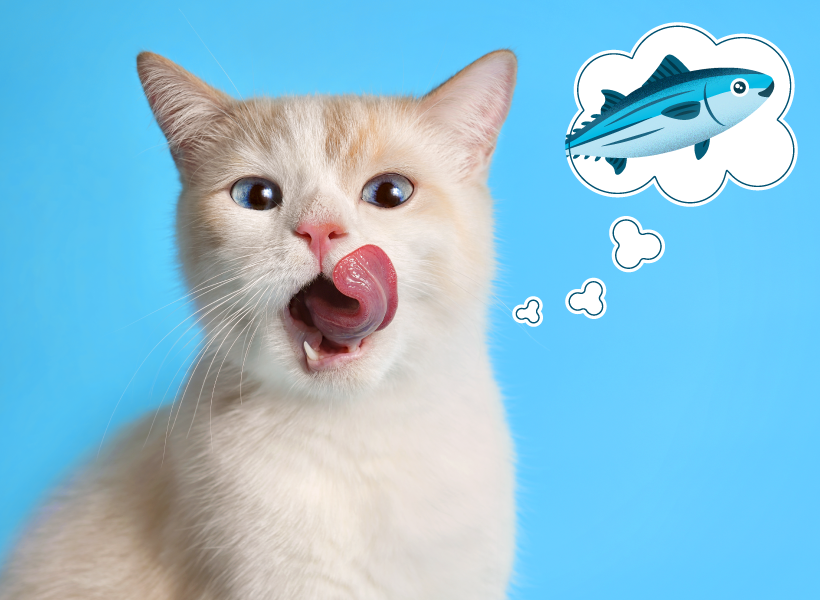 Is Tuna Bad for Cats? The Truth About Tuna Cat Food