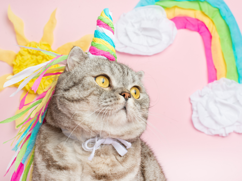 No Unicorn Dust. Just Real Ingredients You Can See!
