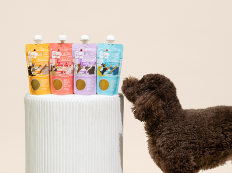 5 Easy, Healthy Enrichment Ideas Dogs Will Lick Clean