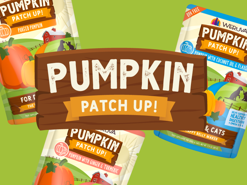 Weruva pumpkin patch up hotsell