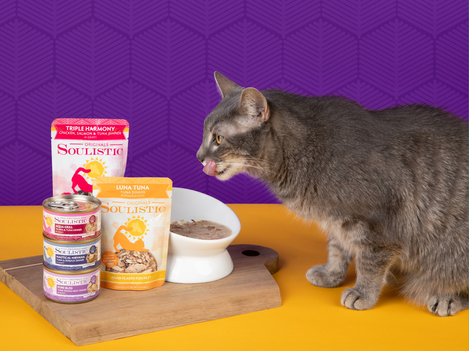 8 Ways to Help Your Cat Live Their Best Life