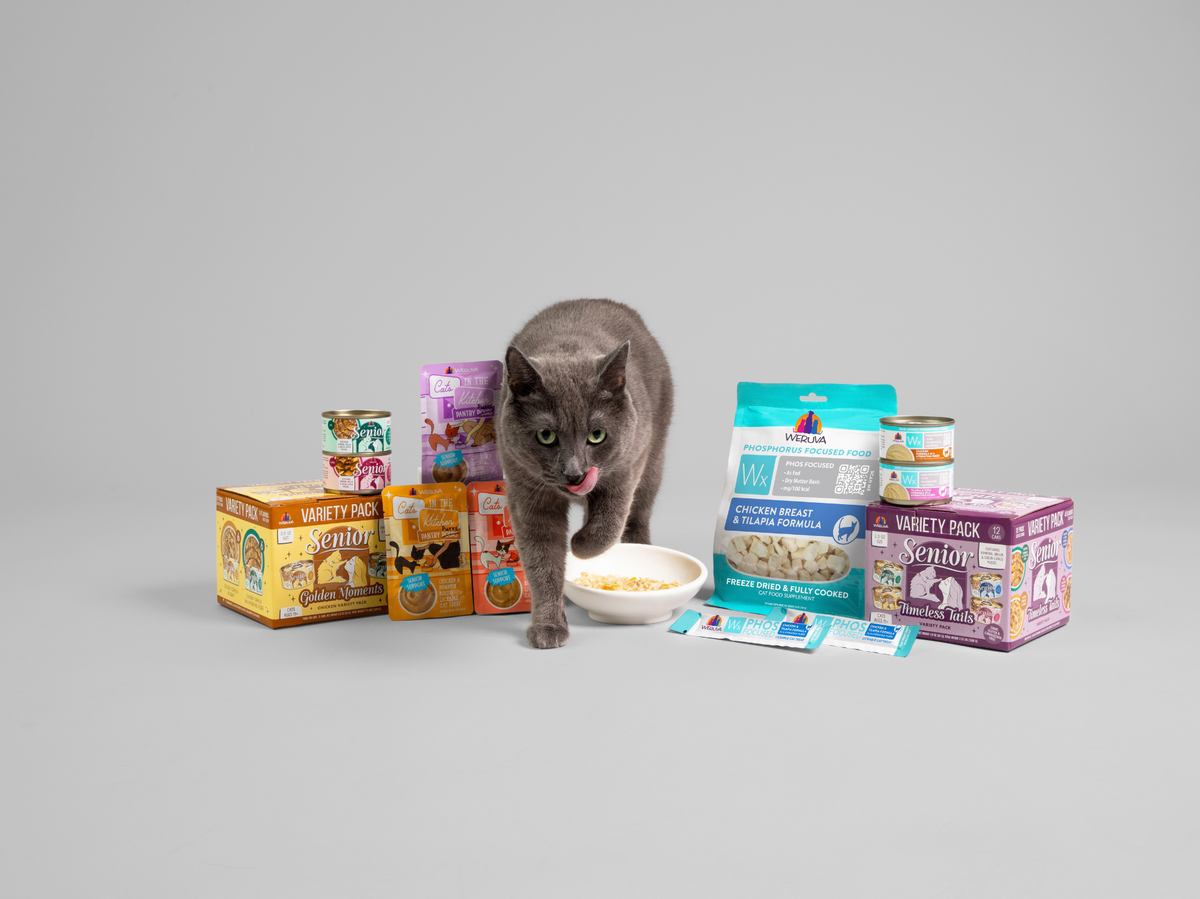Senior Cat Food Guide: Nutrition for Their Best Years