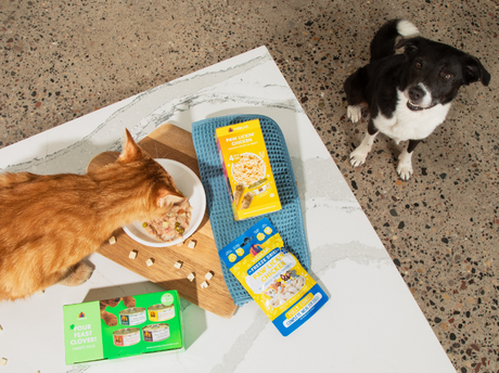 Which Weruva Recipe Will Your Pet Love? Find Their Perfect Match