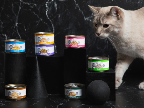 Saba, Basa & Beyond: Unique Cat Food Proteins