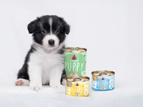 The Best Puppy Food for a Healthy Start: Weruva Puppy