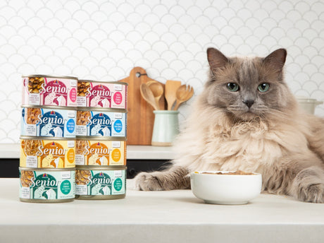 Introducing Weruva Senior: Wet Food for Cats 11+