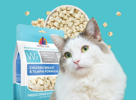 Wx Phos Focused Freeze Dried: A Low Phosphorus Cat Food Solution