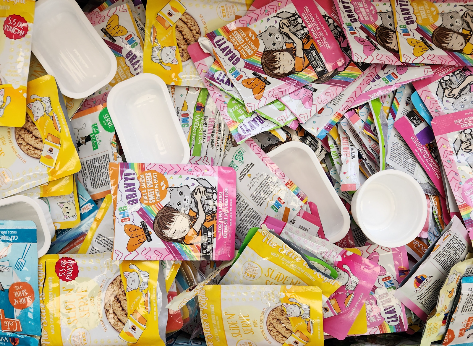 Recycling with WeRuCycle: Do's and Don'ts