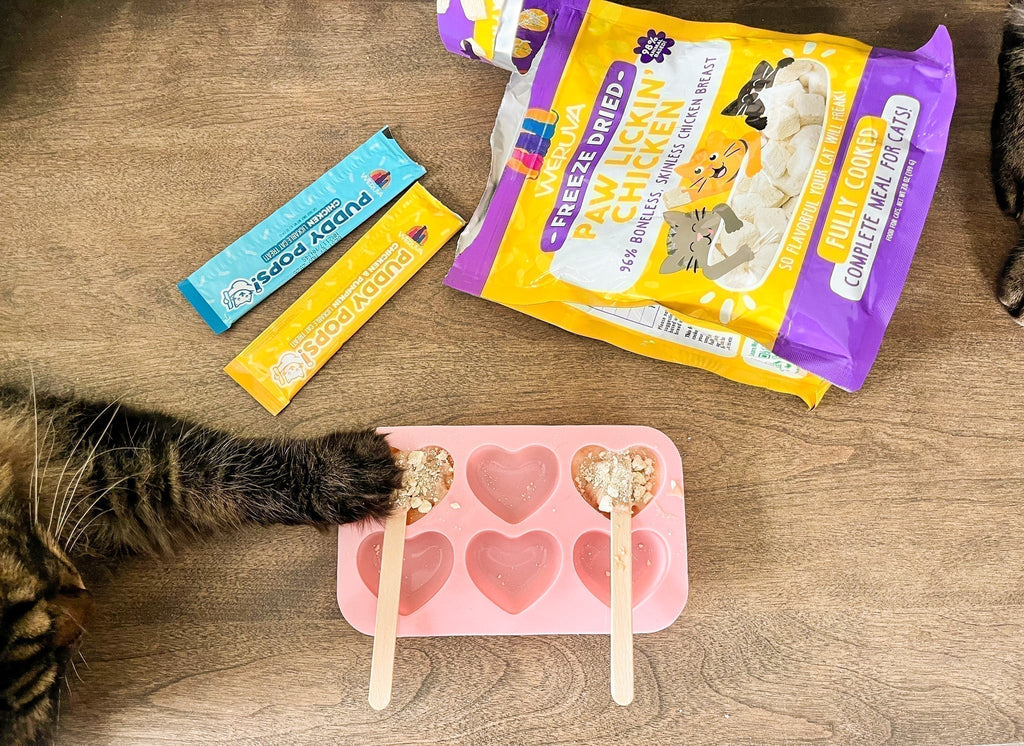 Valentine’s Day Treats for Cats: Fun, Flirty Ideas with Weruva
