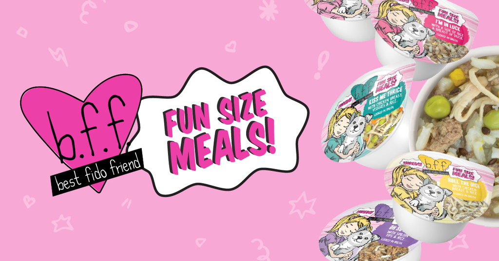 B.F.F. Fun Size Meals!