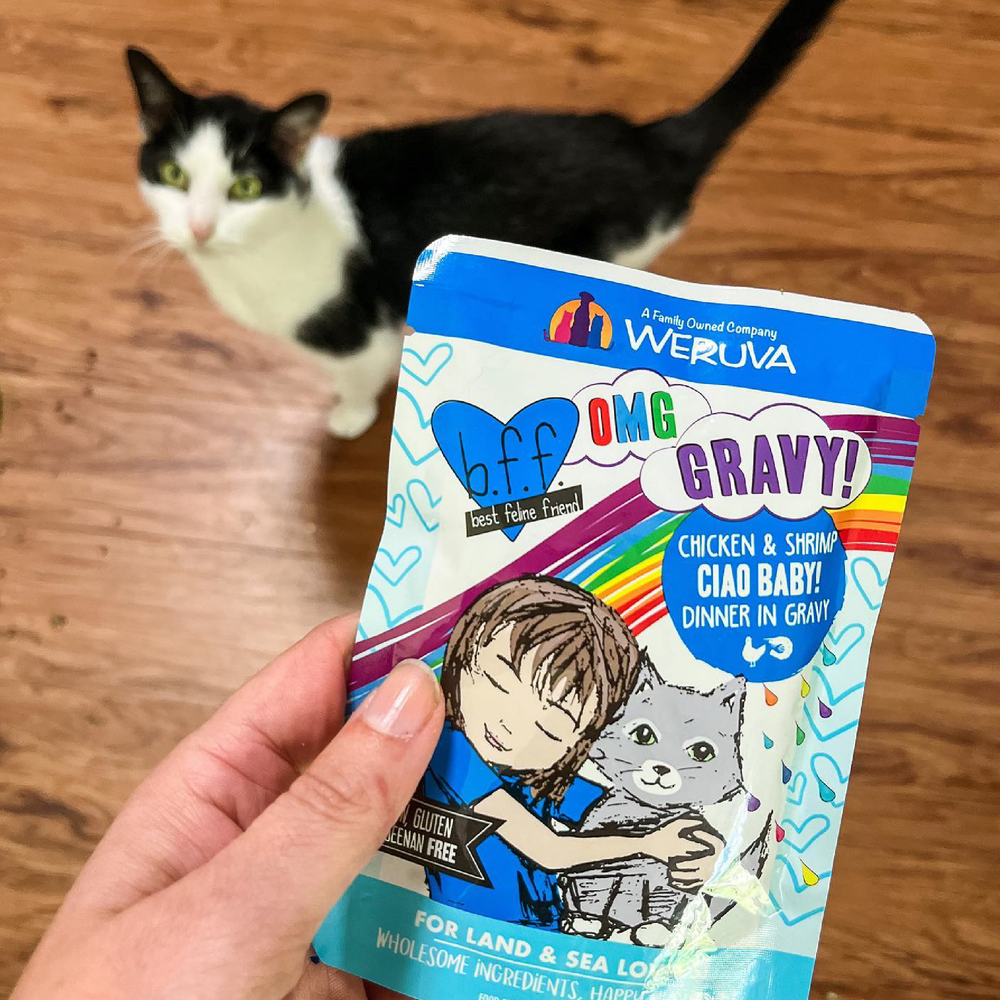 A hand holds a colorful BFF Best Feline Friend Chicken & Tuna Seeya Sooner! cat food pouch, featuring a cartoon child hugging a cat. A black and white cat stands on a wooden floor in the background.