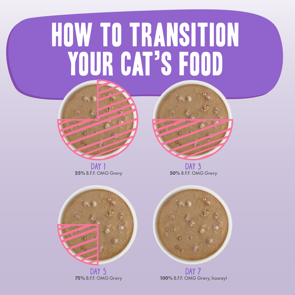 Four bowls show how to transition your cat to BFF Best Feline Friend Duck & Salmon Date Nite!: Day 1—25%, Day 3—50%, Day 5—75% new food, and Day 7 includes Date Nite! gravy for hydration. Title: How to Transition Your Cat’s Food.