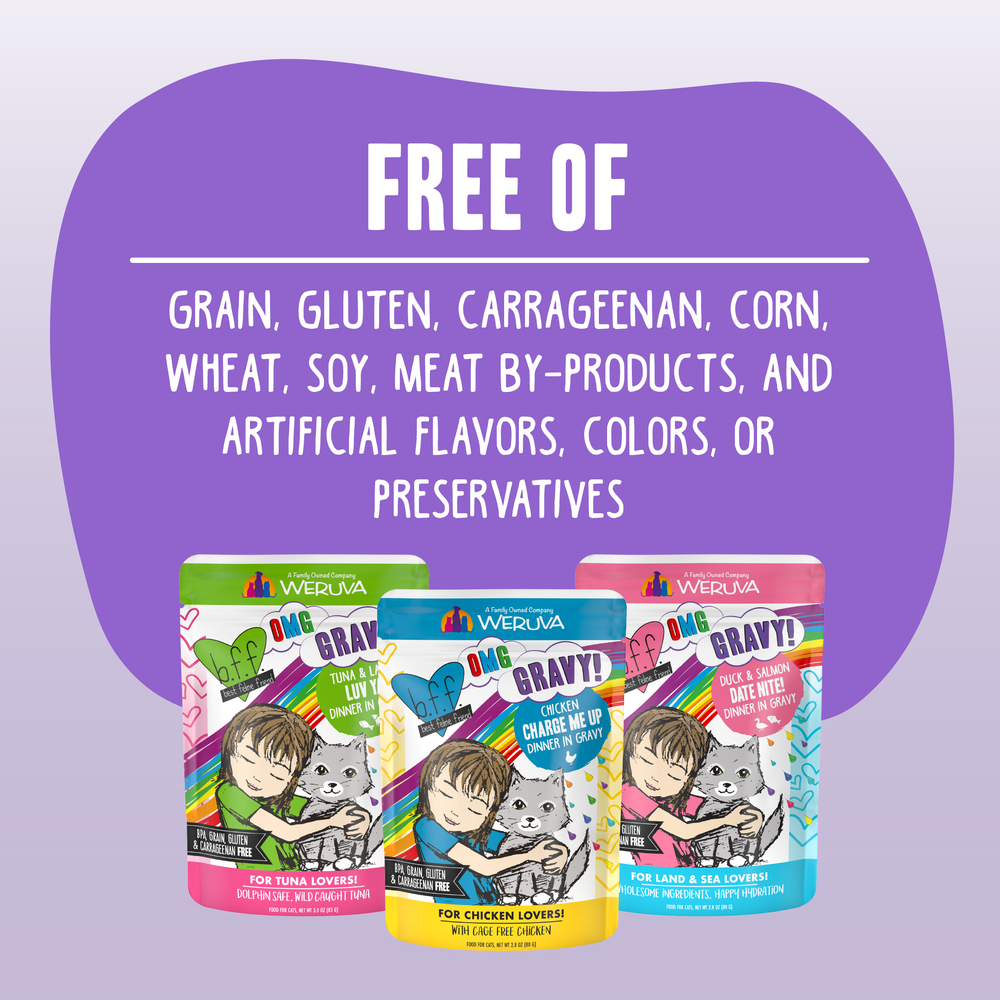 Three colorful packages of BFF Best Feline Friend Duck & Salmon Date Nite! cat food are displayed below text stating it is free of grain, gluten, carrageenan, corn, wheat, soy, meat by-products, artificial flavors, colors or preservatives.