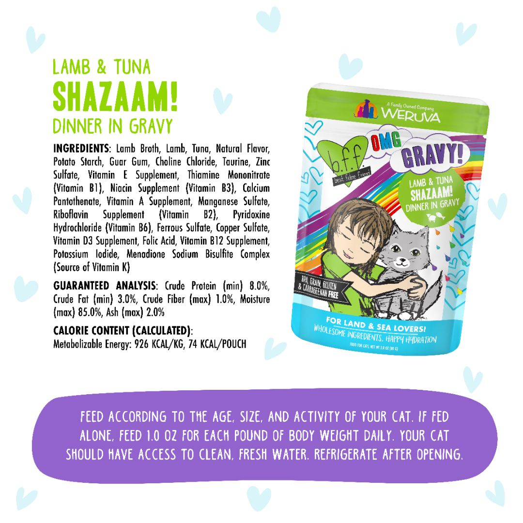 0737-878408000454 Shazaam 2.8oz Pouch