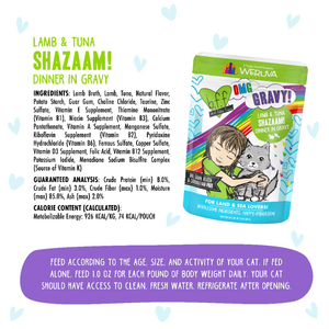 0737-878408000454 Shazaam 2.8oz Pouch