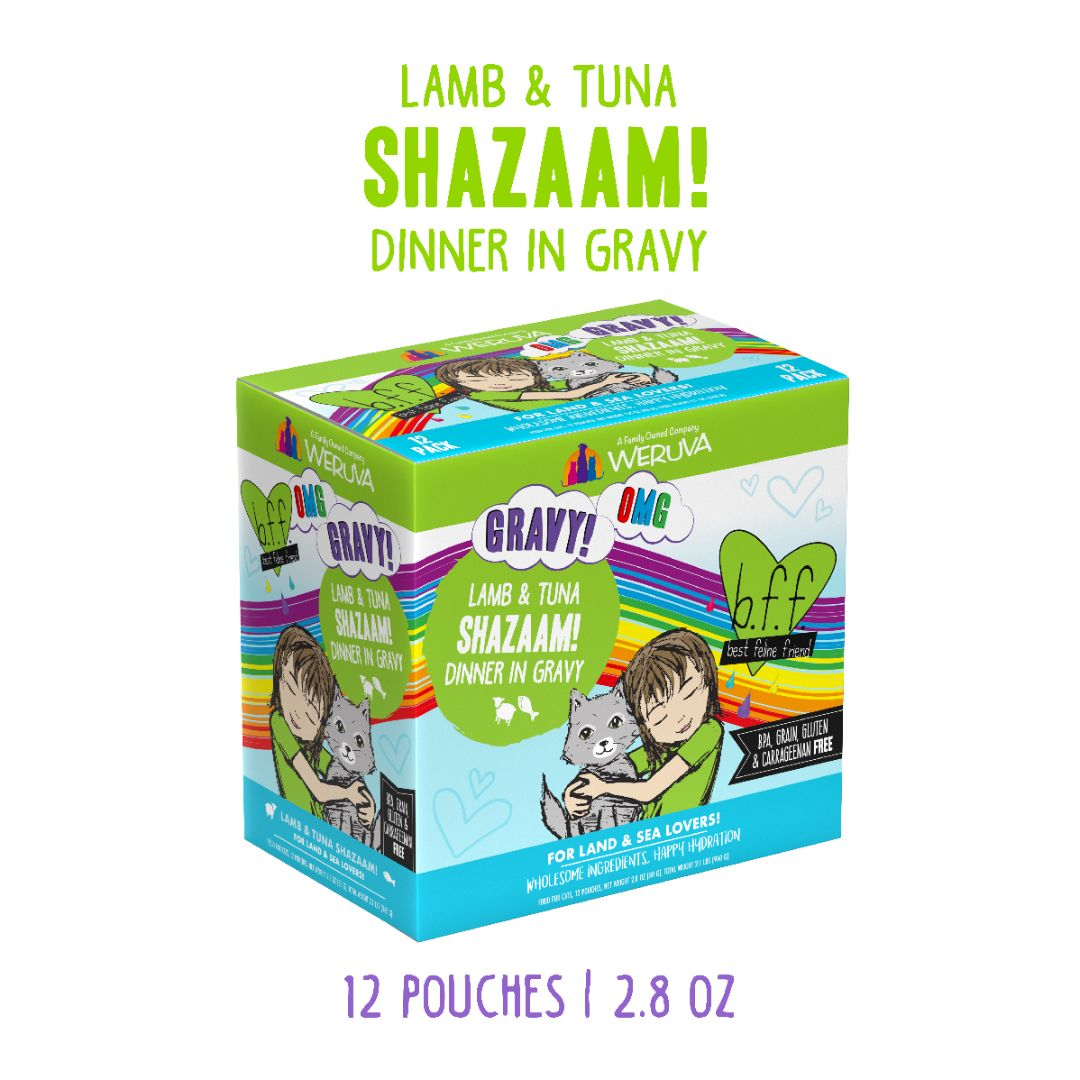 0737-878408000454 Shazaam 2.8oz Pouch