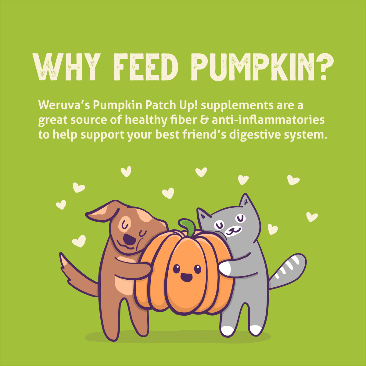 A cartoon dog and cat hug a smiling pumpkin on a green background, illustrating how Weruva Puréed Pumpkin Supplement serves as a healthy source of fiber for digestive support in pets.