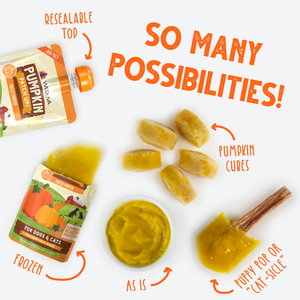 A pouch of Weruva Puréed Pumpkin Supplement for digestive support shown with four serving ideas: frozen pumpkin cubes, a bowl of purée, a treat on a stick, and a resealable pouch opening.