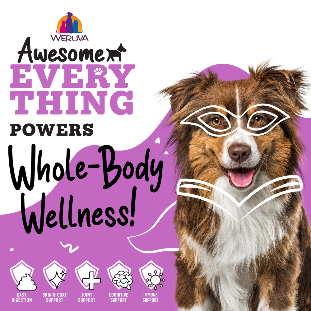 A happy brown and white dog with drawn-on glasses and a cape sits before a purple background. Text: “Awesome Everything Super Beef Bone Broth by Awesome Functions powers whole-body wellness!” Great as a dog mixer or broth, with icons for digestion, skin, joints, cognition, immunity.