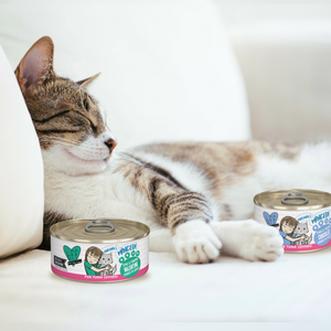 1246-BFF Minced Brand Image Set -  Lifestyle