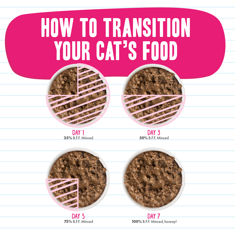 1475-BFF Minced Brand Image Set - Food Transition