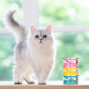 1659-Cats in the Kitchen - Lifestyle Image