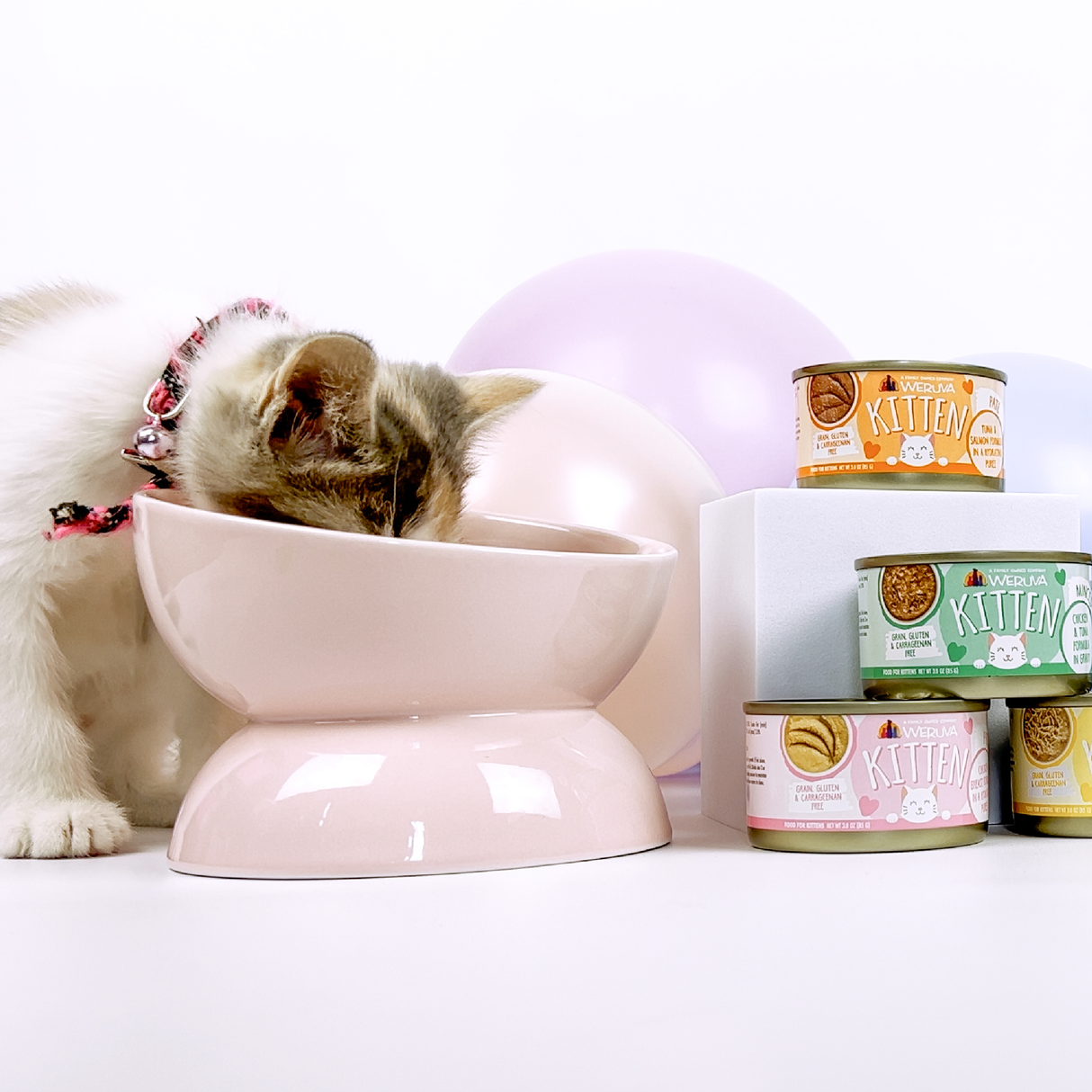 2685-Weruva Kitten Lifestyle Image