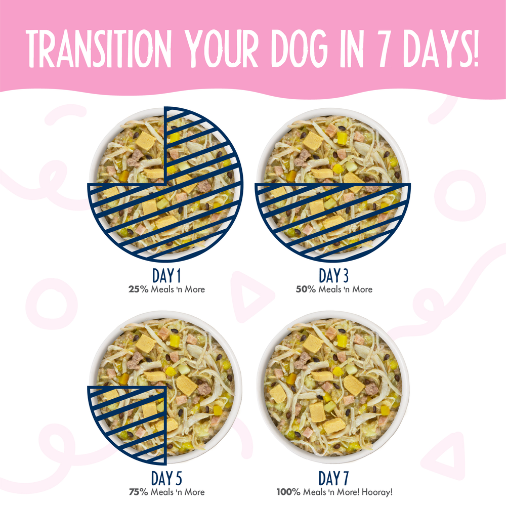 Four bowls show a 7-day dog meal transition to Weruva’s Bed and Breakfast Recipe Plus, made with real white meat chicken for easy digestion—start with 25% new food on Day 1, increase to 50%, then 75%, and reach 100% by Day 7.