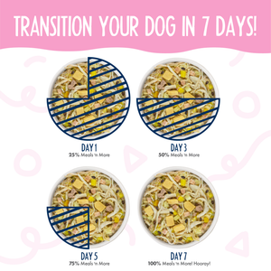 Four bowls show a 7-day dog meal transition to Weruva’s Bed and Breakfast Recipe Plus, made with real white meat chicken for easy digestion—start with 25% new food on Day 1, increase to 50%, then 75%, and reach 100% by Day 7.