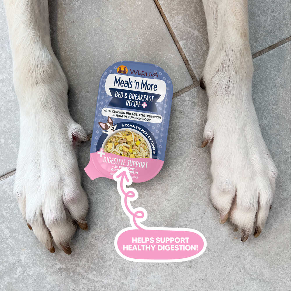 A container of Weruva Bed and Breakfast Recipe Plus dog food, made with real white meat chicken for easy digestion, sits between a dog's front paws. A pink label indicates it “Helps support healthy digestion!”.