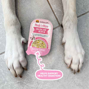 A pink container of Weruva Amazon Livin' Recipe Plus dog food sits on a tiled floor between two white and tan dog paws. The package text highlights digestive support and healthy digestion benefits.