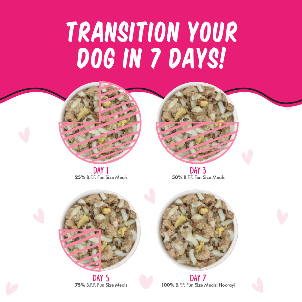 Infographic shows how to transition your dog to new food in 7 days, gradually increasing I'm In Luck by BFF Best Fido Friend—ideal with a rice or duck breast dog treat cooked in broth for tasty encouragement.