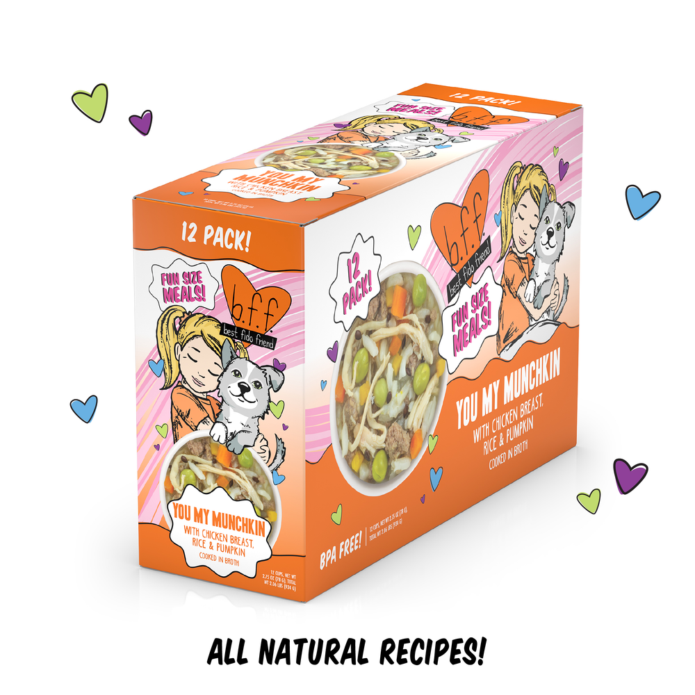 A vibrant 12-pack box of BFF Best Fido Friend You My Munchkin cat food with chicken, rice, and pumpkin, featuring packaging of a cartoon girl hugging a white cat—ideal for fans of flavorful chicken rice pumpkin recipes.