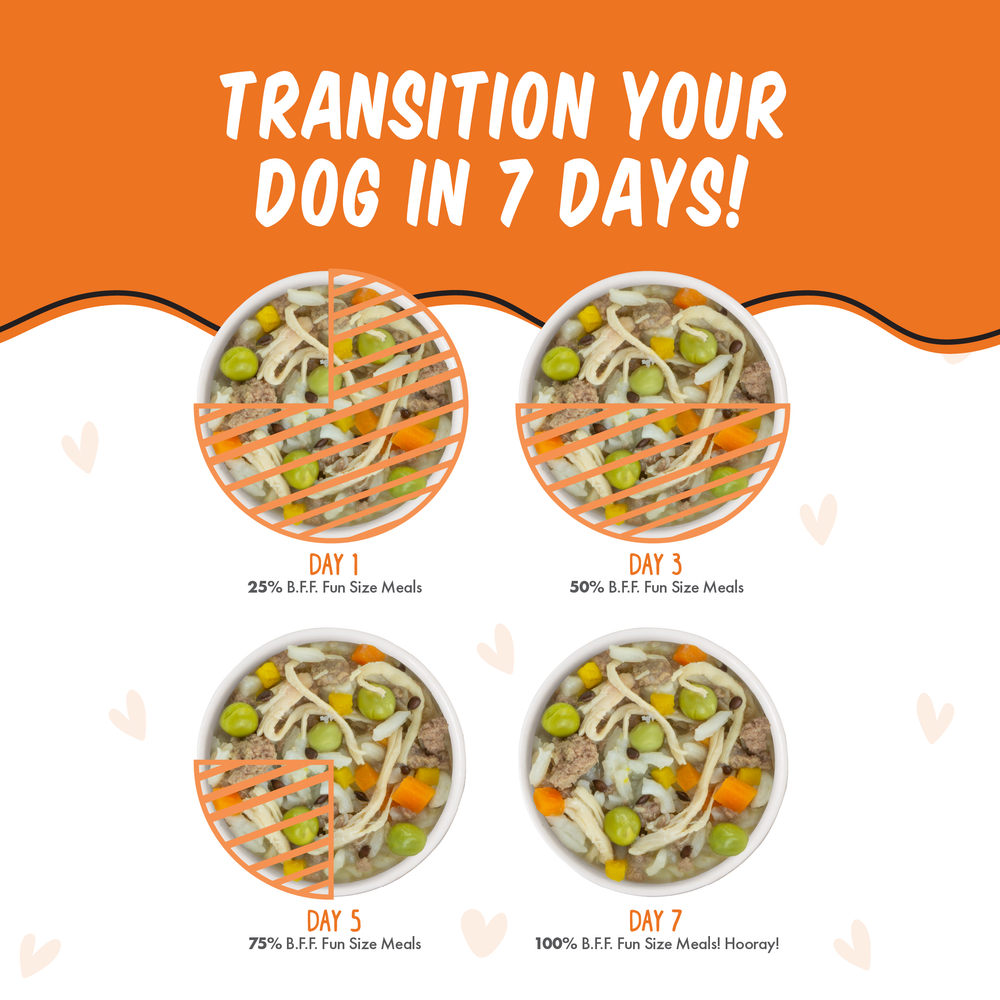 Four bowls labeled for days 1, 3, 5, and 7 show a gradual increase in BFF Best Fido Friend You My Munchkin chicken rice pumpkin dog food over seven days, illustrating a simple step-by-step transition plan.
