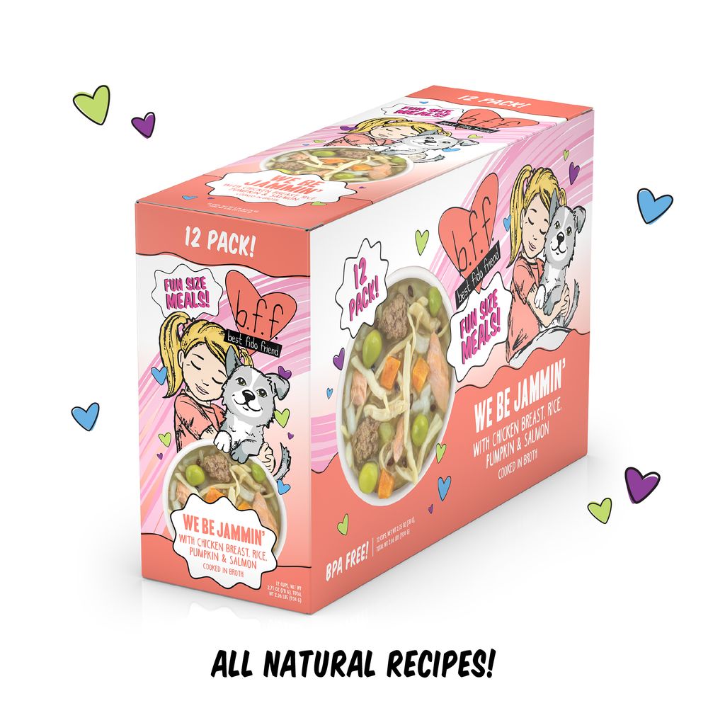 A colorful 12-pack box of BFF Best Fido Friend We Be Jammin' features an illustrated girl hugging a cat, a food photo, heart doodles, and “We Be Jammin’”—a fun pick for chicken and rice dog food fans.