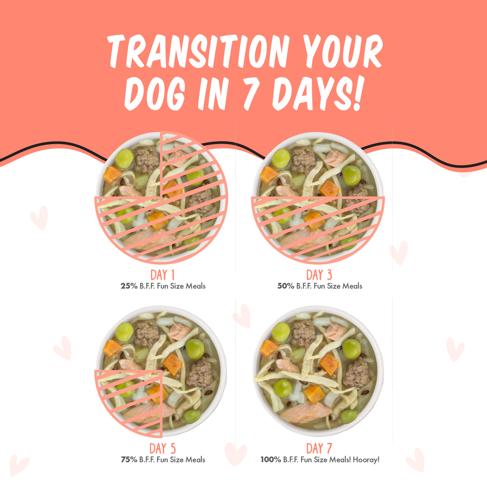 Four bowls show a 7-day food transition for dogs, with increasing portions of BFF Best Fido Friend We Be Jammin'. Each bowl is labeled for days 1, 3, 5, and 7. Text above reads: "Transition Your Dog in 7 Days!.