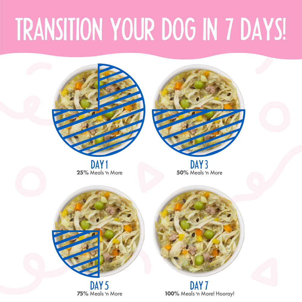 Four bowls of Weruva Belly Belly Nice Variety Pack show the 7-day food transition: daily increases in new food support gentle digestion, with text and pie charts overlayed to illustrate a smooth switch for your dog.