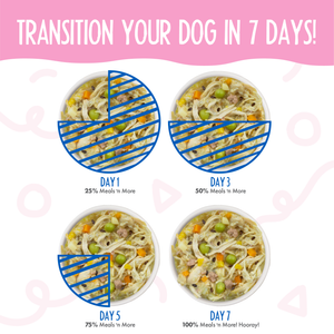 Four bowls of Weruva Belly Belly Nice Variety Pack show the 7-day food transition: daily increases in new food support gentle digestion, with text and pie charts overlayed to illustrate a smooth switch for your dog.